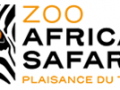 African safari logo 2